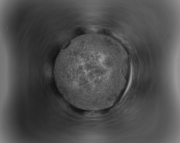 X0000092280331200709211200