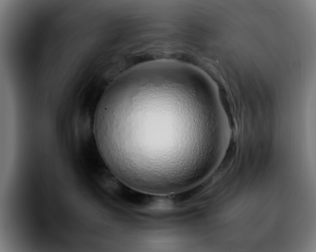 X0000092280335200709211200