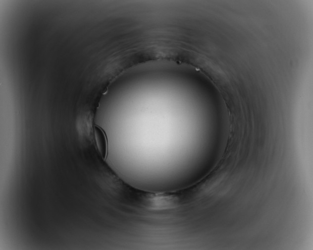 X0000092280336200709211200