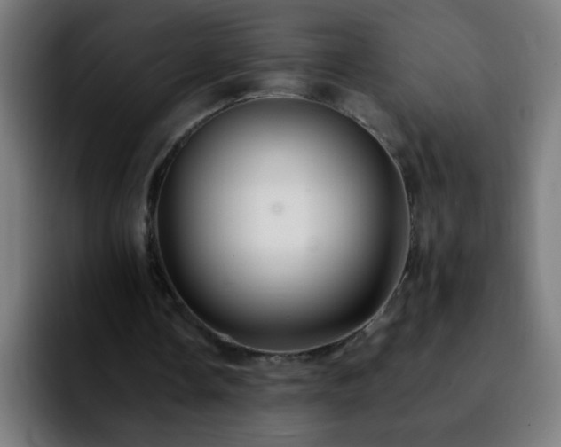 X0000092280338200709211159