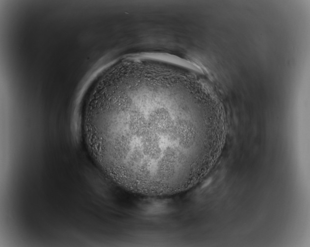 X0000092280343200709211159