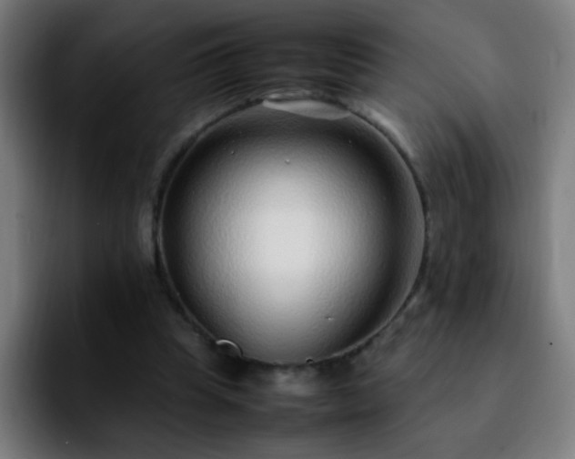 X0000092280345200709211159