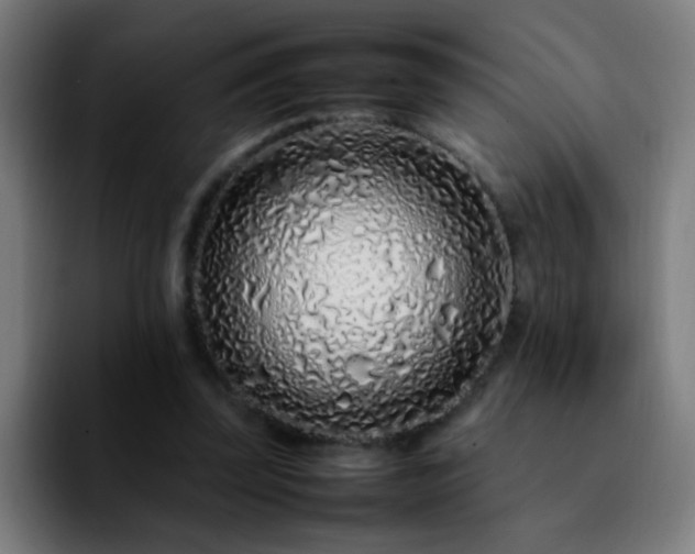 X0000092280347200709211159