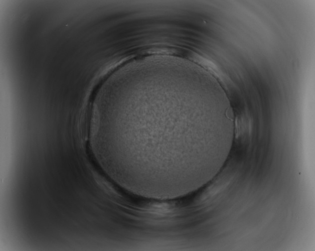 X0000092280349200709211159