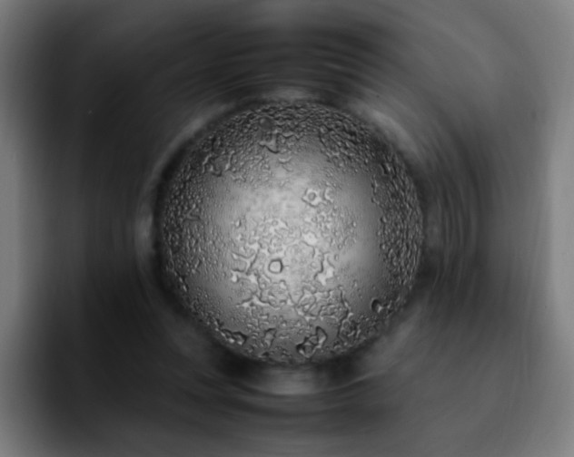 X0000092280351200709211159