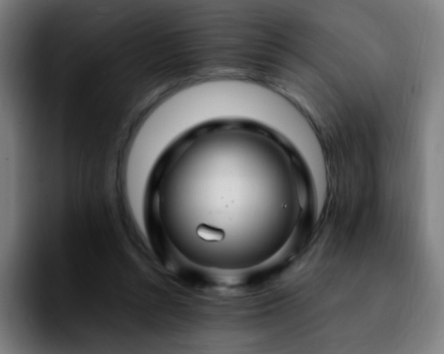 X0000092280352200709211159