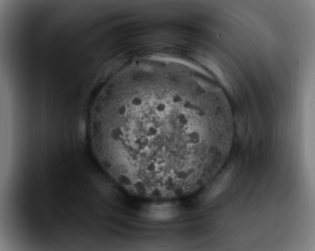 X0000092280357200709211159