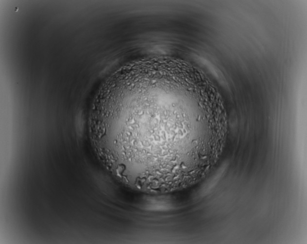 X0000092280359200709211159