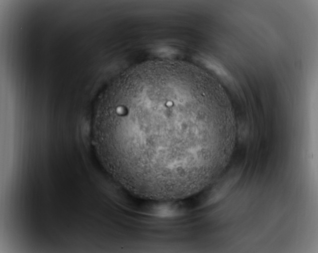 X0000092280365200709211159