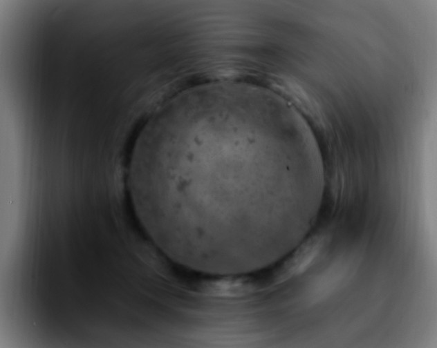 X0000092280366200709211159