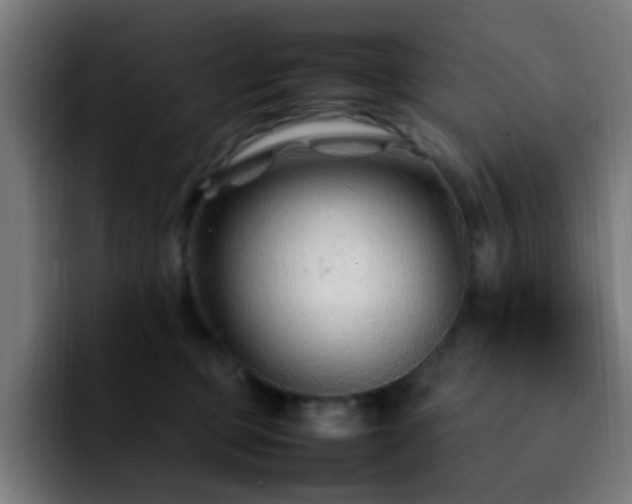 X0000092280373200709211200