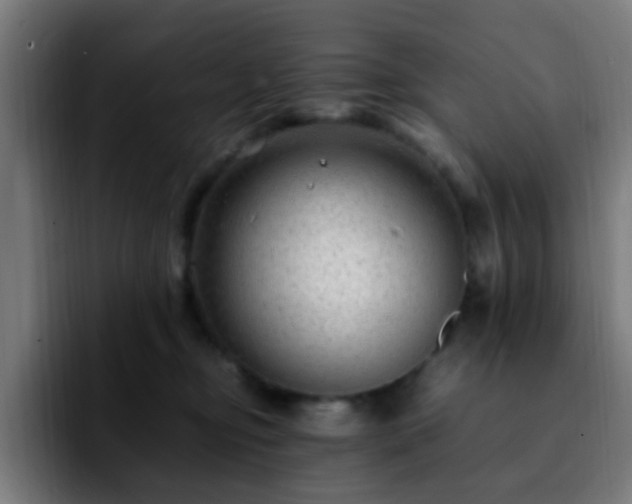 X0000092280374200709211200