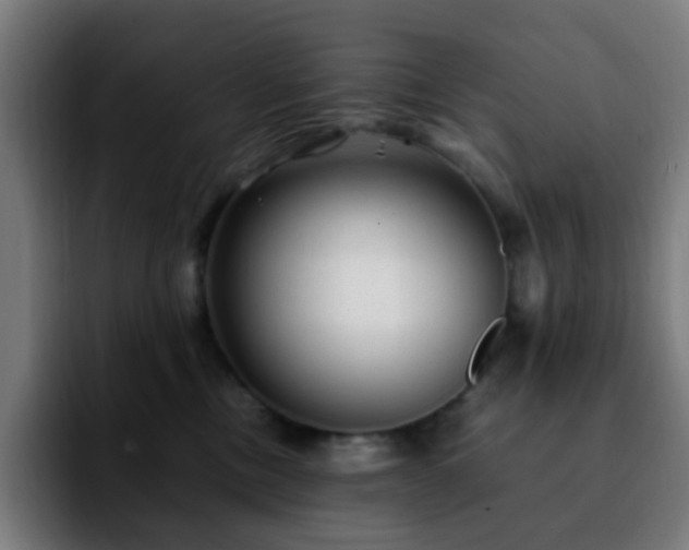 X0000092280378200709211200