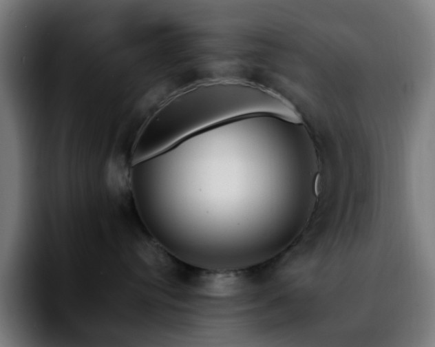 X0000092280384200709211200