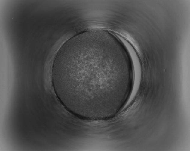 X0000092280385200709211159