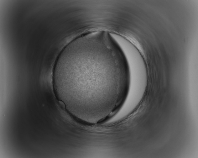 X0000092280389200709211159