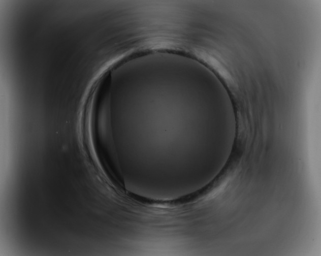 X0000092280391200709211159