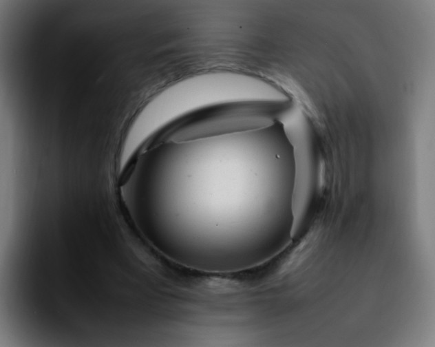 X0000092280393200709211159