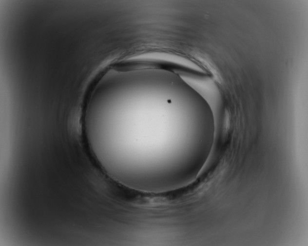 X0000092280395200709211159