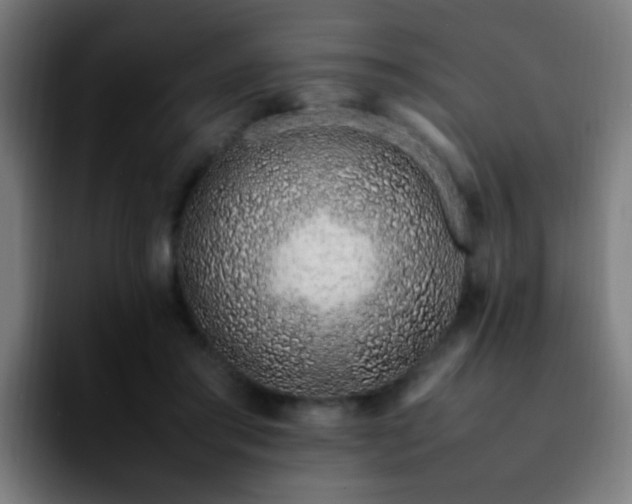 X0000092280405200709211159