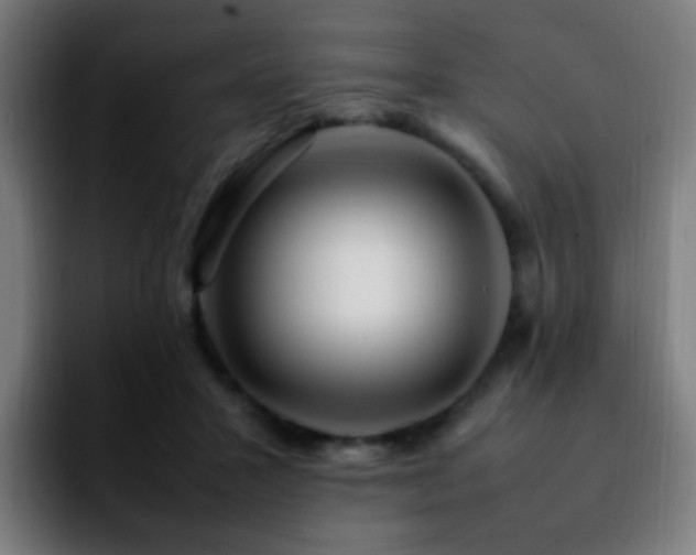 X0000092280407200709211159