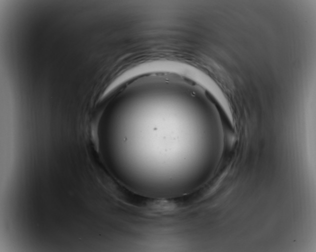 X0000092280421200709211159