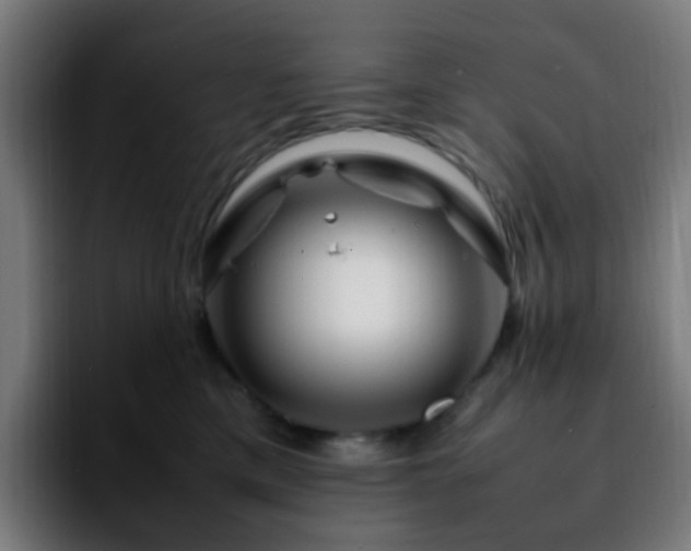 X0000092280425200709211159