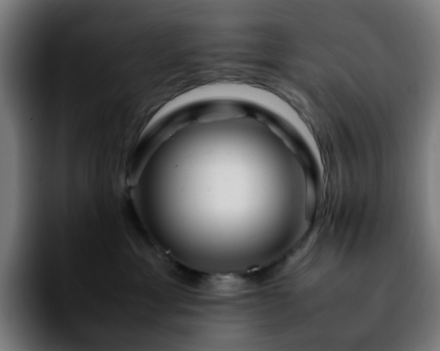 X0000092280429200709211159