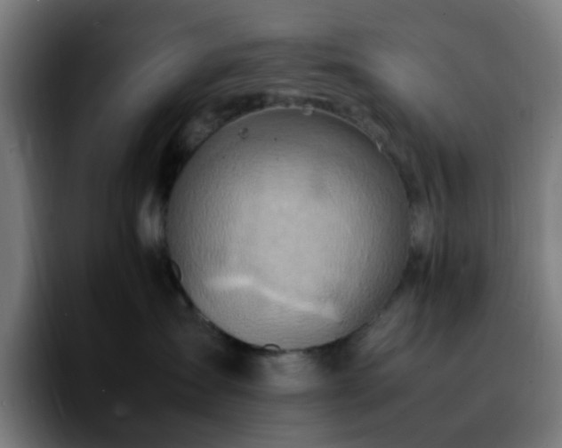 X0000092280431200709211159