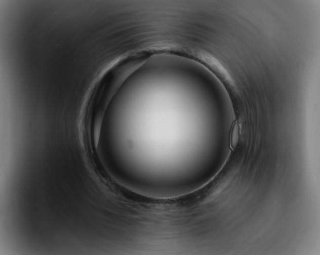 X0000092280436200709211158