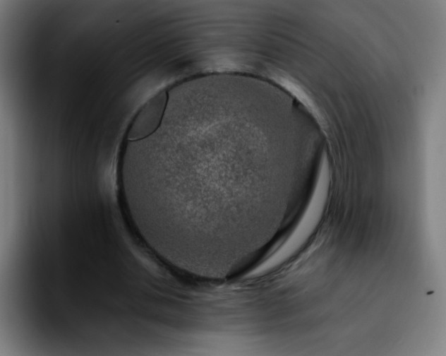 X0000092280438200709211158