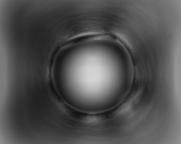 X0000092280453200709211158