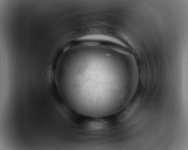 X0000092280459200709211158