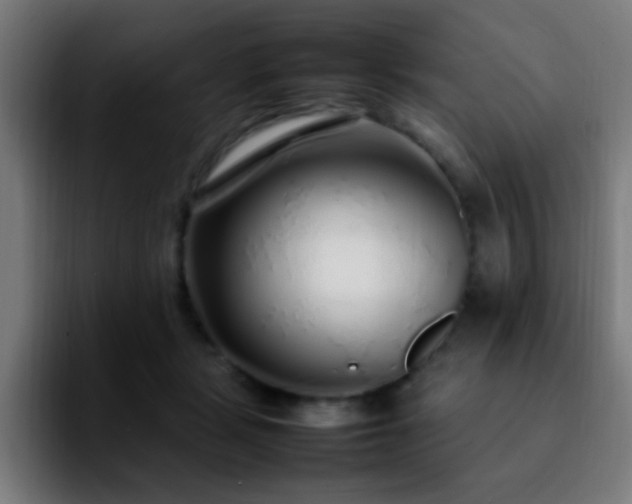 X0000092280461200709211158