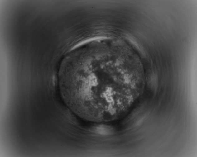 X0000092280467200709211158