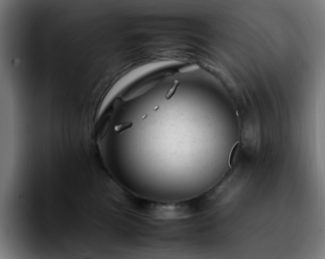 X0000092280473200709211158