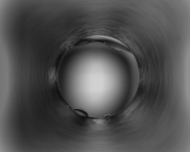 X0000092280478200709211159