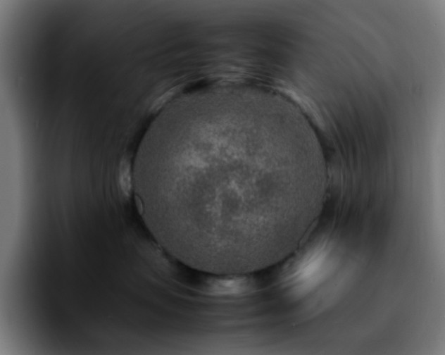 X0000092280479200709211159