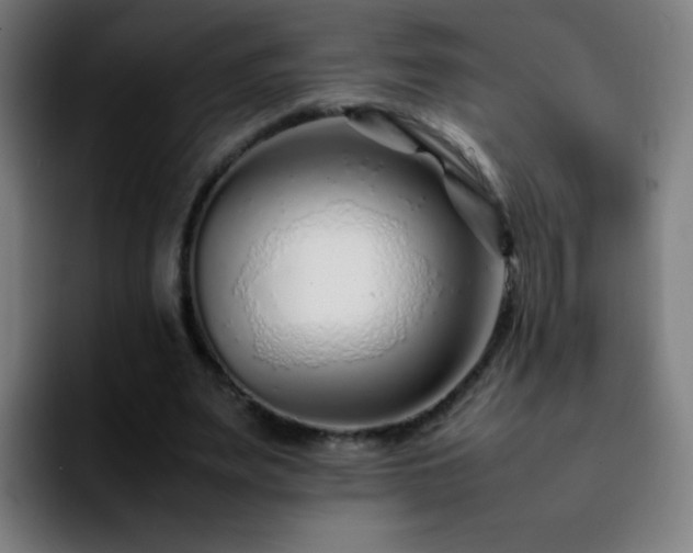 X0000092280487200709211158