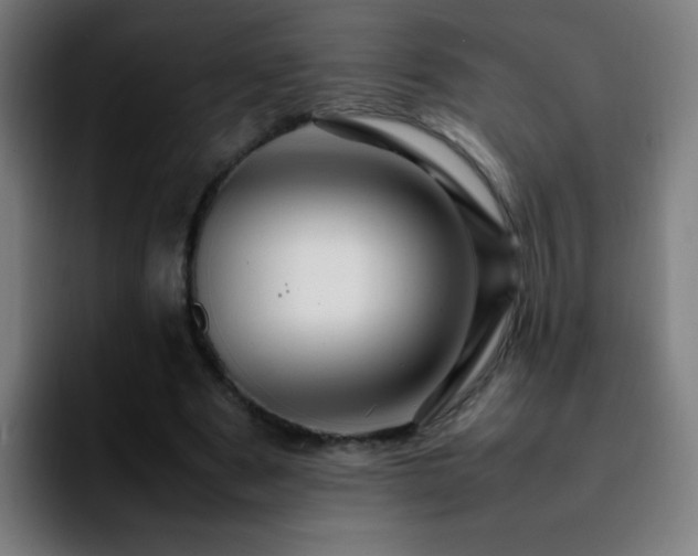 X0000092280489200709211158