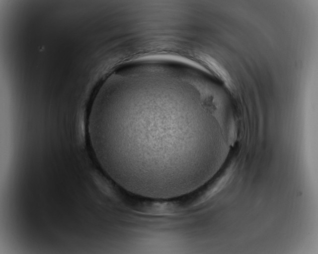 X0000092280493200709211158