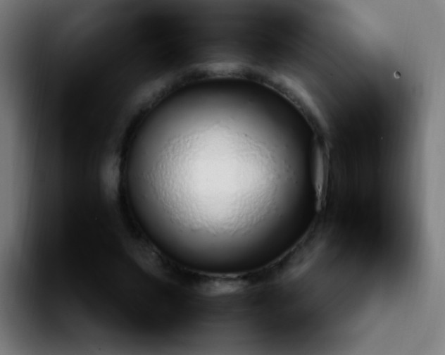 X0000092280495200709211158