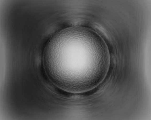 X0000092280499200709211158