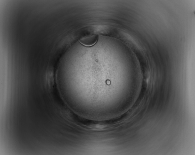 X0000092280506200709211158