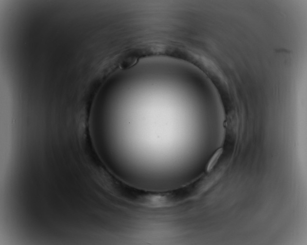 X0000092280509200709211158