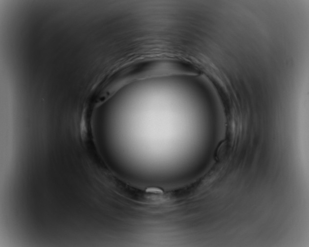 X0000092280516200709211158