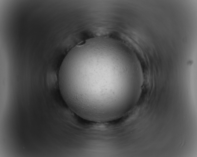 X0000092280523200709211157