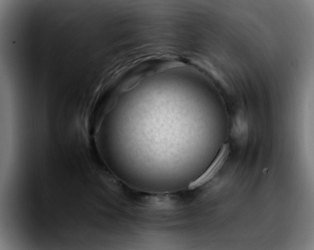 X0000092280524200709211157