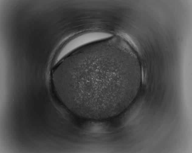 X0000092280531200709211157