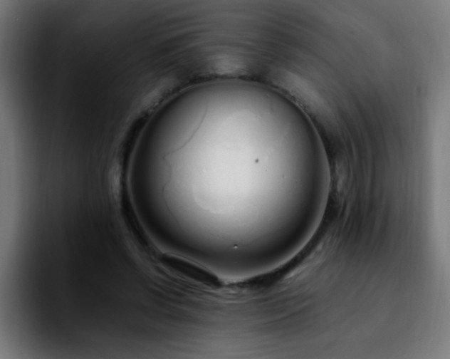 X0000092280542200709211157